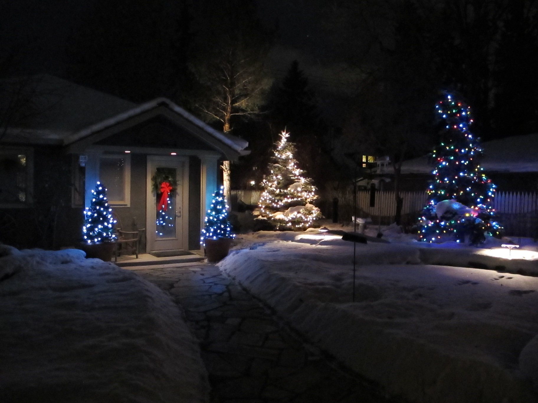 Christmas Lights with Snow
