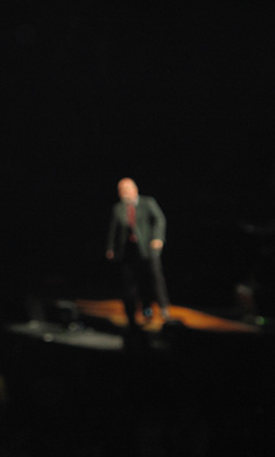 Billy Joel concert view